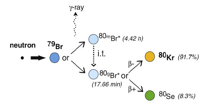 중성자 조사를 이용한 79Br 붕괴 모식도.