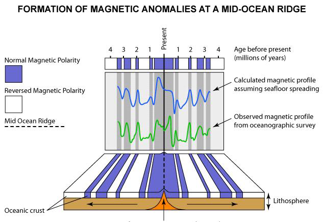 중앙해령에서 해양지각이 형성되고 양쪽 지각판으로 해저면이 확장되는 과정 중에 지구 자기장의 북극과 남극이 바뀌는 지자기역전(geomagnetic reversal)이 일어남에 따라 대칭적인 지자기이상(magnetic anomaly) 패턴