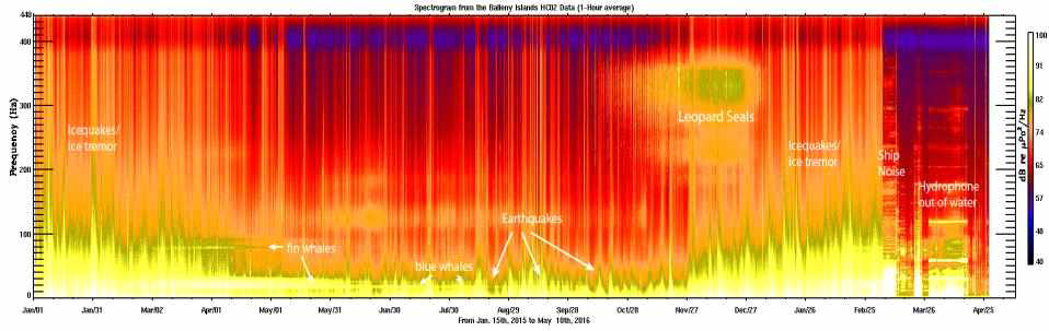 수중음향 자료에서 관측된 Balleny군도 인근 지진활동 및 빙권거동에 의해 나타난 수중음향 스펙트럼 신호