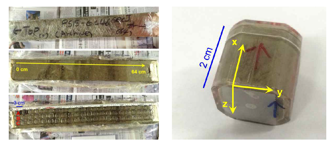 시추 퇴적물로부터 표준시편 추출 모습(좌)과 추출한 퇴적물 시료 표준시편(우)