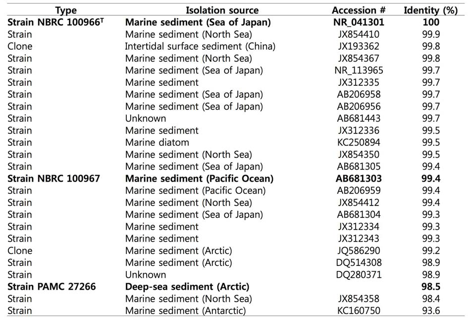 Sediminicola 박테리아와 유연 관계가 높은 GenBank 서열 정보