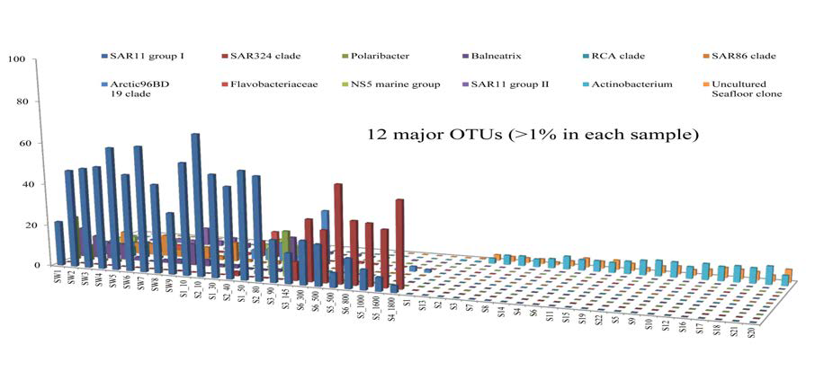 해수시료와 표층퇴적물 시료의 미생물군집구조