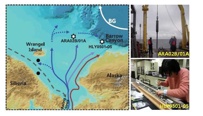 Map of the western Arctic Ocean, showing circulations in the Chukchi Sea along with the location of the study sites