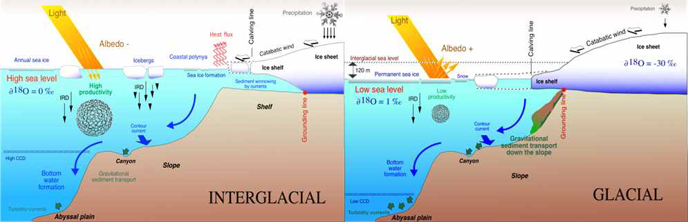 Glaciomarine sedimentation at the margin of an ice-covered continent during interglacials and glacials