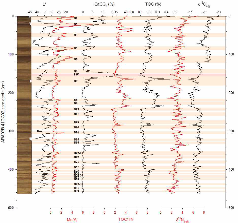 Downcore profiles of L*, XRF Mn/Al ratio, CaCO3 content, TOC/TN ratio, TOC content, and δ13Corg value of ARA03B-41GC02 with its surface image.