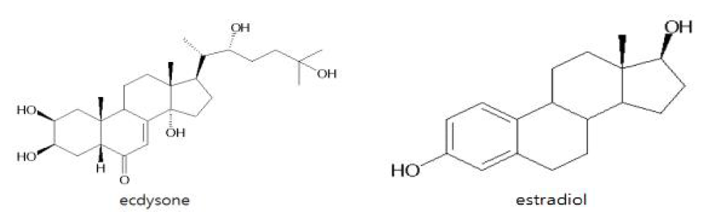 Steroid hormone인 ecdysone과 estradiol의 구조