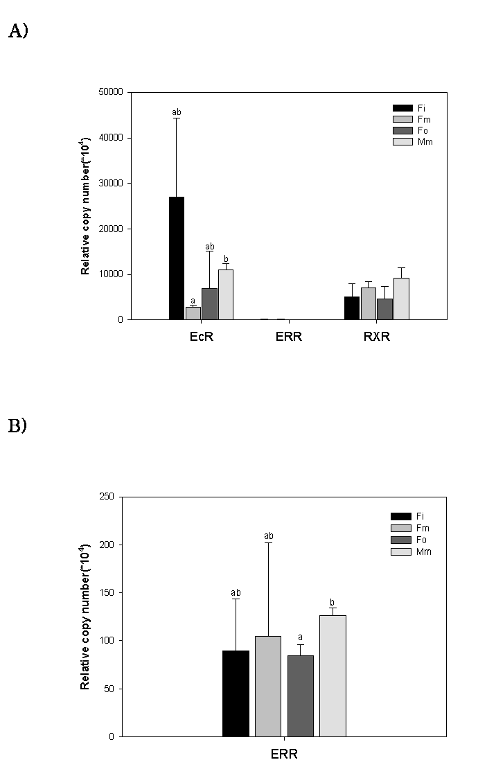 Relative copy numbers of thee steroid hormone receptors from T. kingsejongensis