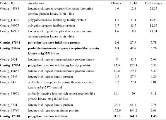 List of an antifreeze protein (AFP) and a polygalacturonase inhibiting-like proteins (PGIP) homologous from C. quitensis transcriptome data.