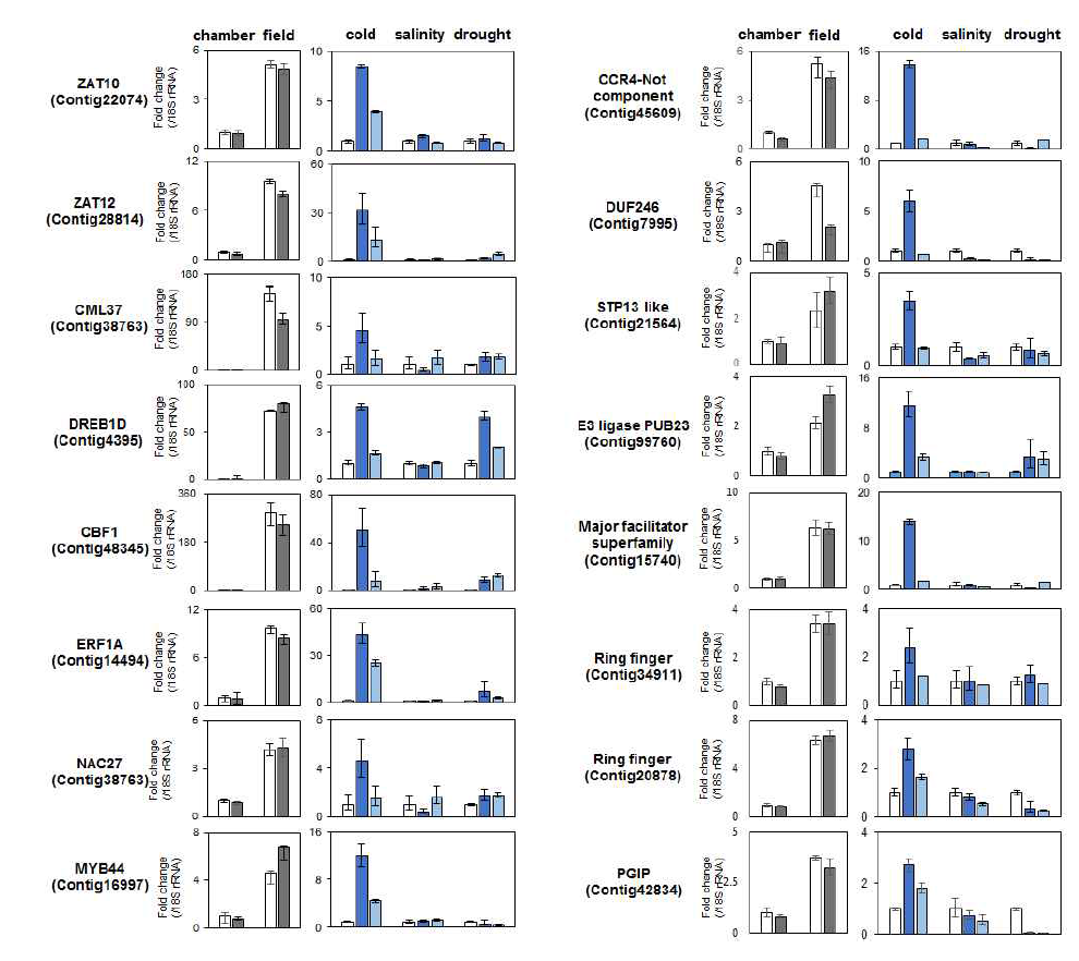 qRT-PCR analysis of differentially expressed genes Colobanthus quitnensis