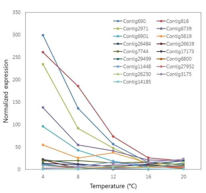 Normalized expression level of all 17 ice-binding protein (IBP) transcripts according to temperature changes