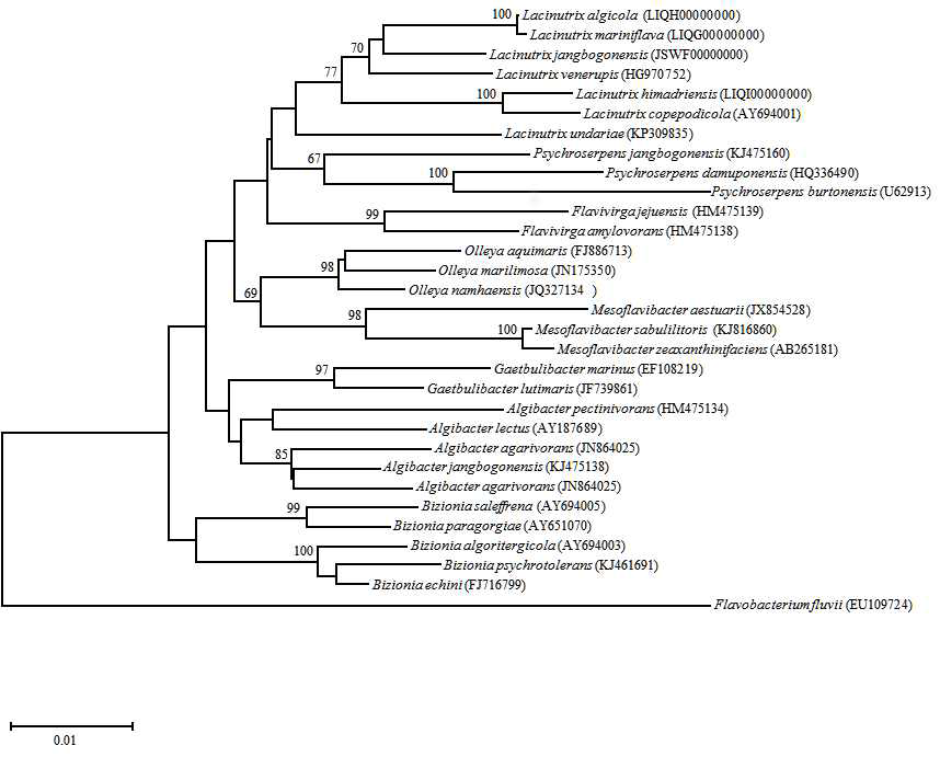 Neighbour-joining phylogenetic tree [10-13]