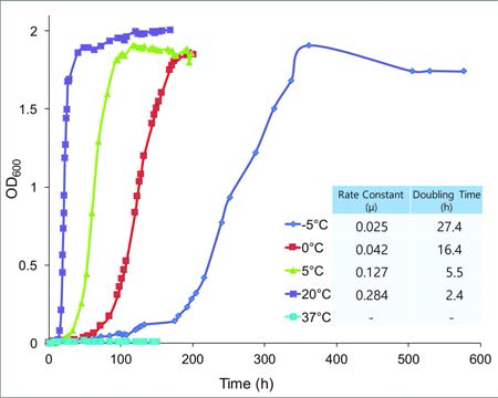 Growth curves of Psychrobacter sp. PAMC 21119 at different temperatures.