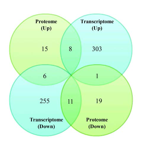 Venn diagram showing differentially expressed genes and proteins of Psychrobacter sp. PAMC 21119.