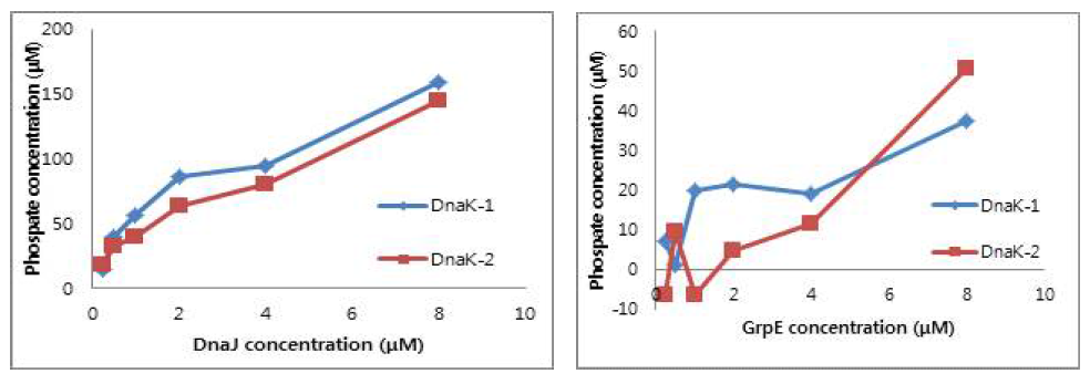 Co-chaperone (DnaJ, GrpE)에 의한 LacDnaK의 ATPase 활성변화. (좌) DnaJ의 농도에 따른 효과; (우) GrpE의 농도에 따른 효과