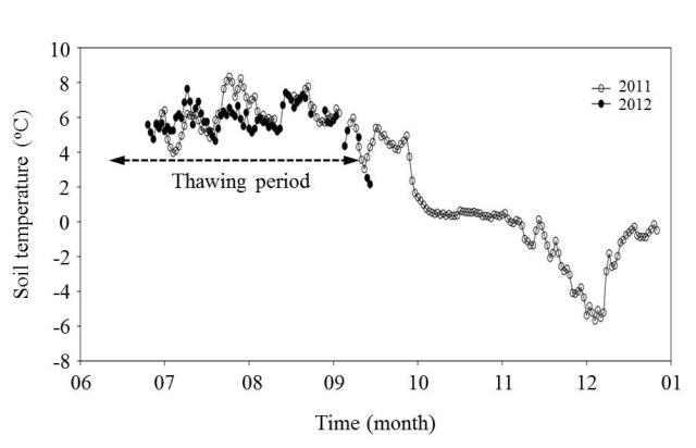 Temporal variation of soil temperature at a depth of approximately 20 cm. The site for temperature measurement was 75 m away from the sampling site (AK1-75) for tundra soil.