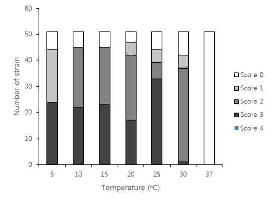 Temperature effects on humic acids utilization by Alaskan and Antarctic isolates