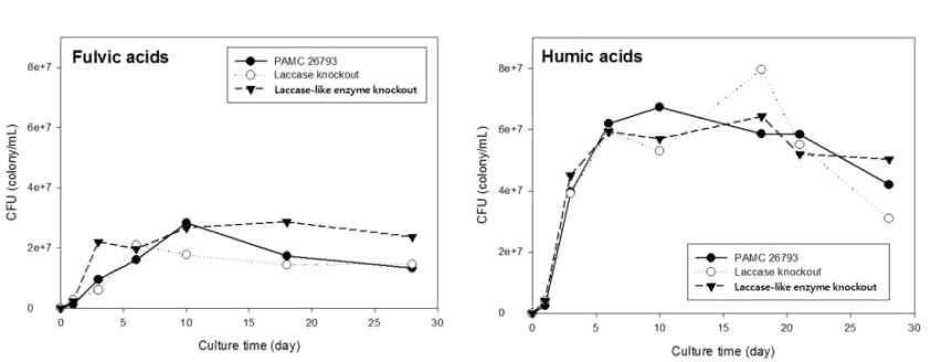 Growth comparison of Pseudomonas sp. PAMC 26793 and its mutants on humic acids and fulvic acids at 15℃