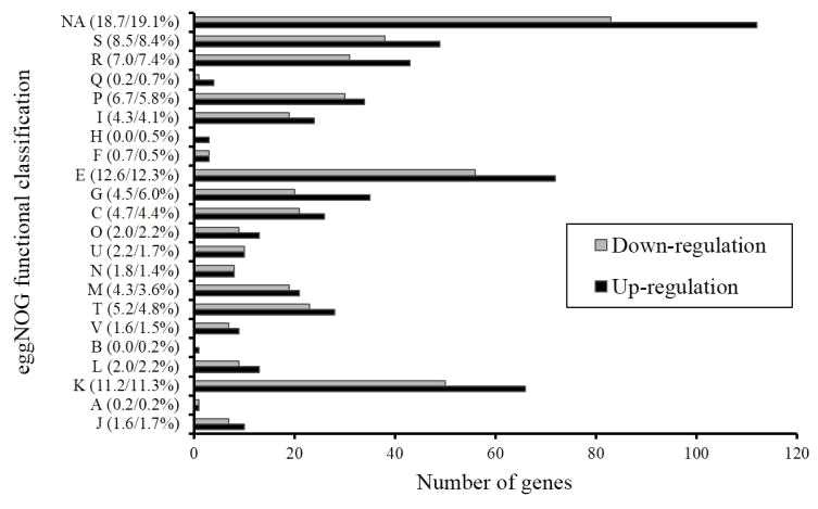 eggNOG functional classification of genes differentially expressed from HA-induced PAMC 26793 cells