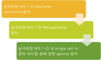 연구수행 내용의 2차 년도 추진전략