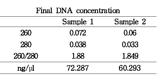 흡광도를 이용한 KS1-2의 metagenomic DNA 질적 및 양적 측정
