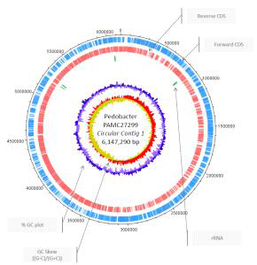 PAMC 27299 genome features
