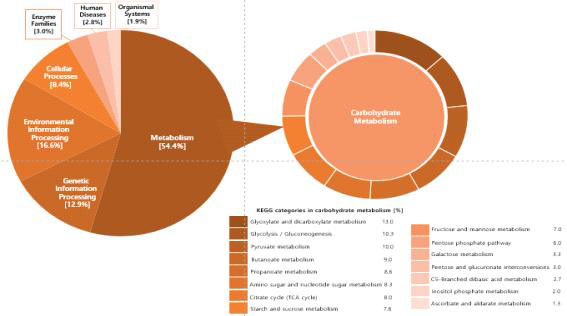 남극 KS 1-2 metagenome KEGG 분석결과