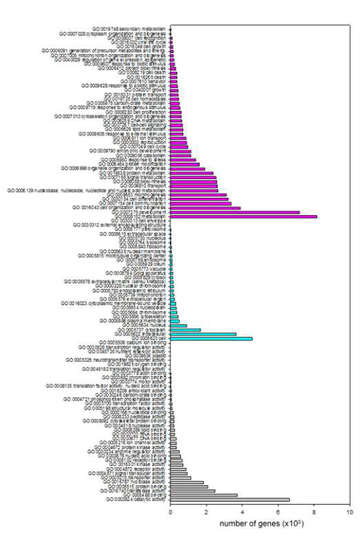 Gene ontology (GO) distribution after BlastX analysis for N.