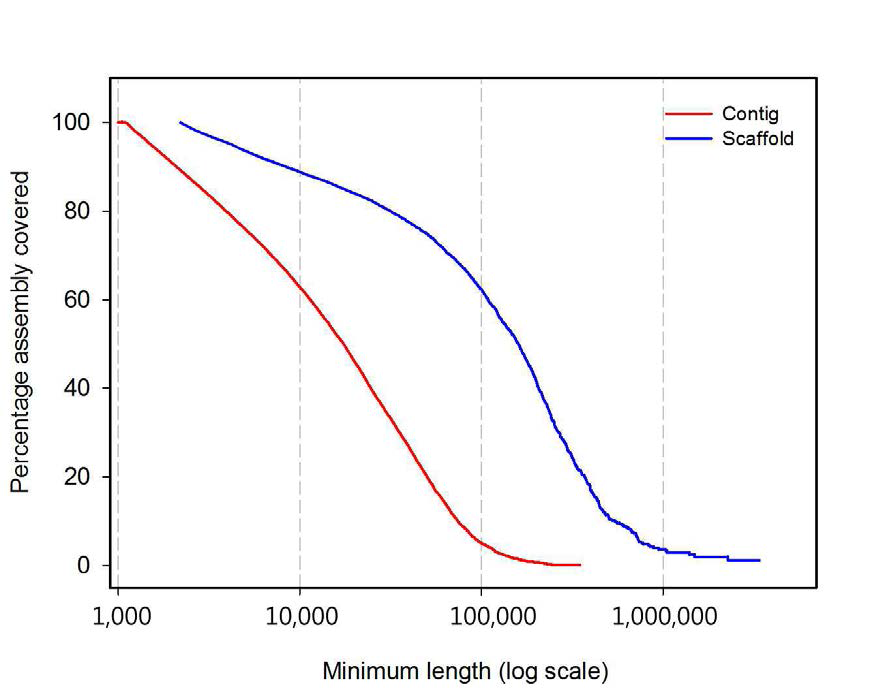 Scaffold and contig size distributions of T. kingsejongensis. The percentage of the assembly included (y-axis) in contigs or scaffolds of a minimum size (x-axis, log scale) is shown for the contig (red) and scaffold (blue).