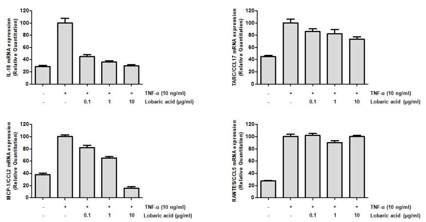 Effect of lobaric acid on the mRNA levels of inflammatory mediator in TNF-α-induced HaCaT cells