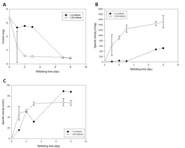 Refolding of P66 I.B. on 1:4 or 1:20 dilution methods.