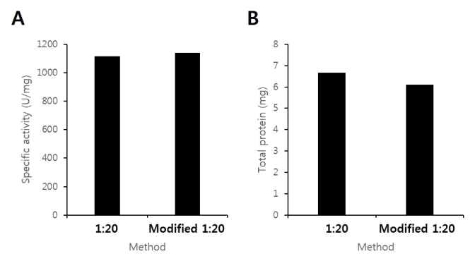 Determination of P66 activity and protein amount in two methods after refolding.