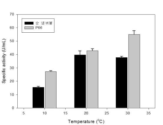 Effects of temperature on 순샘 버블(Aekyung) or P66 activity.