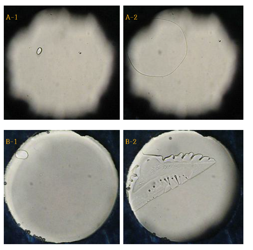 Image of ice crystal growth.