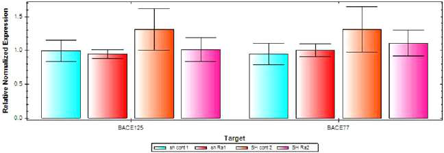 qPCR result with ramalin in neuronal cell line