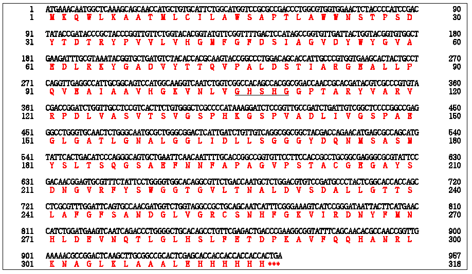 Sequence of Triacylglycerol lipase (Marinobacter lipolyticus) (T)