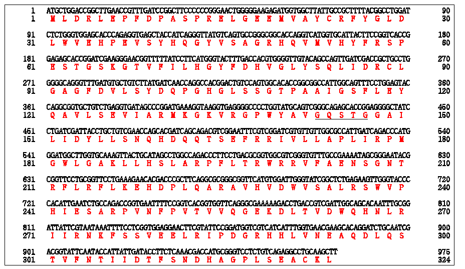 Sequence of Acylglycerol lipase (Marinobacter lipolyticus) (A)