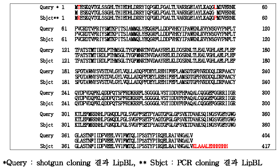 재조합 LipBL 아미노산 서열 비교