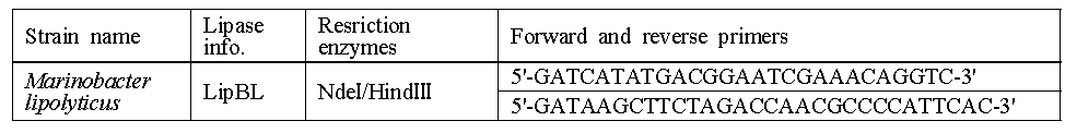 LipBL의 PCR cloning을 위한 primer