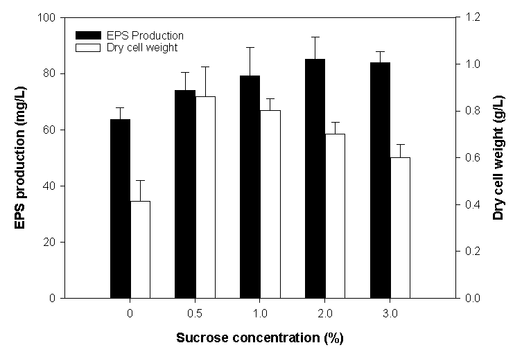 Effect of sucrose concentrations on EPS production and growth of Pseudoalteromonas sp. RosPo-2