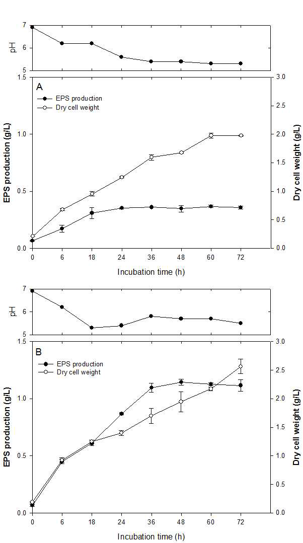 The p-RosPo-2 production from SZB (A) and optimized medium (B).