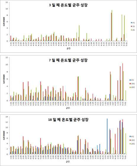 공생미생물의 온도별 균주 성장 (3일, 7일, 18일)