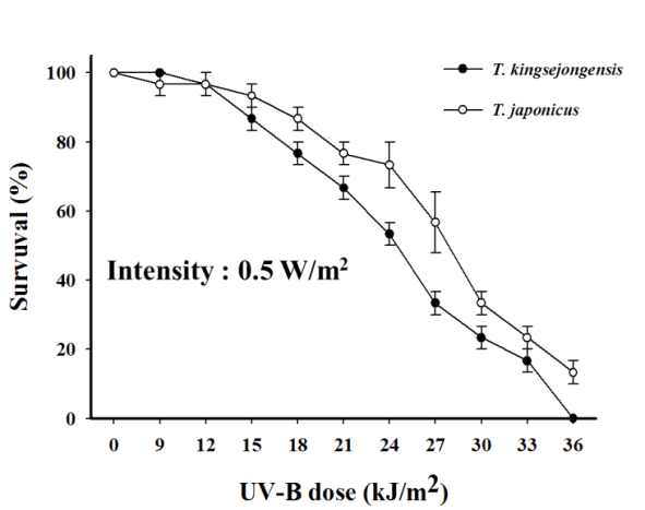T. kingsejongensis의 자외선 노출에 대한 치사율