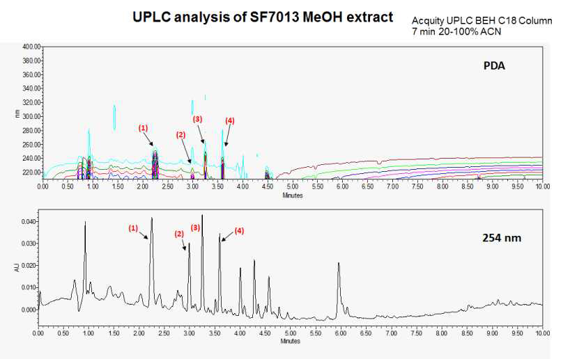 SF7013 추출물 UPLC 분석 결과