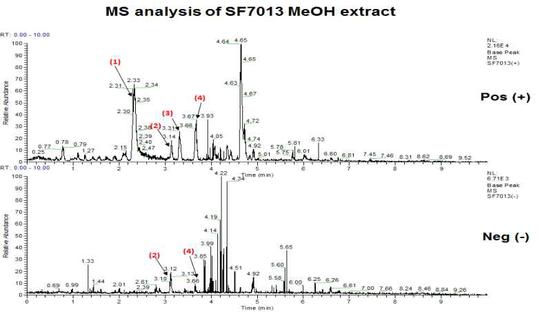 SF7013 추출물 MS 분석 결과