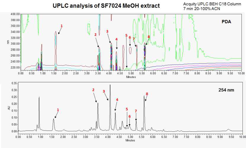 SF7024 추출물 UPLC 분석 결과