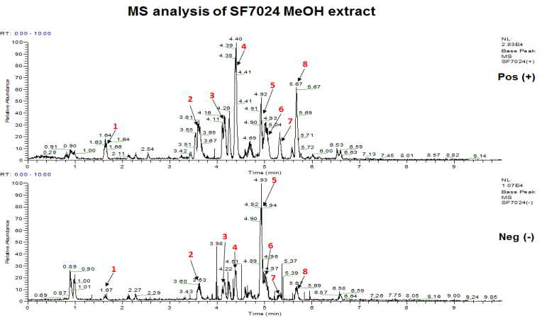 SF7024 추출물 MS 분석 결과