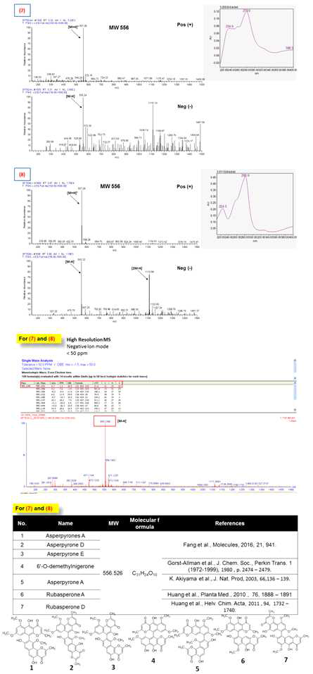 SF7024 peak (7)과 (8)의 UV, MS 분석 결과 및 예측 화합물
