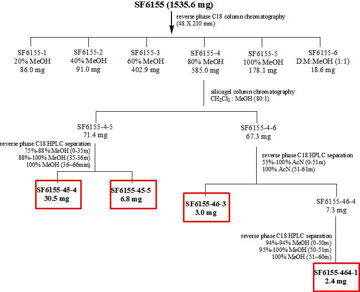 진균 SF6155 으로부터 유래된 활성 대사체의 분리도