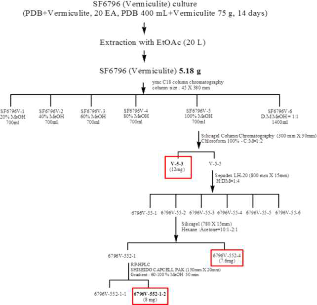 진균 SF6796V 으로부터 유래된 활성 대사체의 분리도