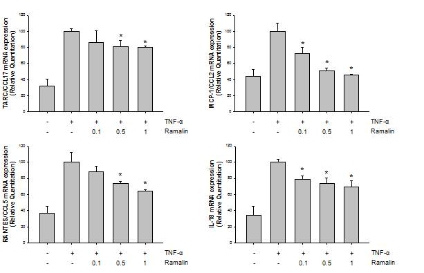 Effect of Ramalin on the mRNA levels of inflammatory mediator in TNF-α-induced HaCaT cells.